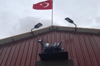 Heykeli gerçek sanıp kaçtı: Tosunun şaşkınlığı sosyal medyada gündem oldu