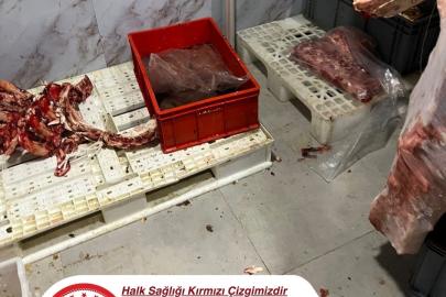 Hijyen kurallarının hiçe sayıldığı işletmeye 300 bin liranın üzerinde ceza
