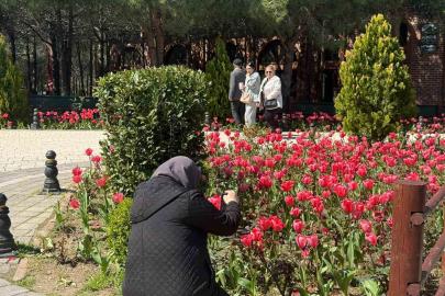 İstanbul’da lale zamanı başladı, Pendik Korusu’nda renk cümbüşü yaşandı