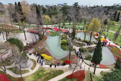 İstanbul’un simgesi laleler şehri yeniden renklendirdi