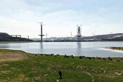 İstanbul’un yeni yüzü; köprü yükselirken keçiler merada
