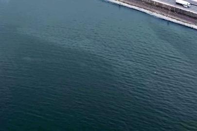İzmir Körfezi’nde kirlilik alarmı: Aynı tehdit 11. kez görüldü