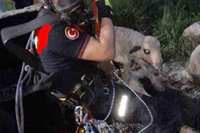 İzmir’de kuyuya düşen kuzuya itfaiyeden nefes kesen kurtarma
