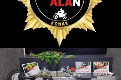 İzmir’de seraya çevirdiği evde kenevir yetiştiren şahıs tutuklandı