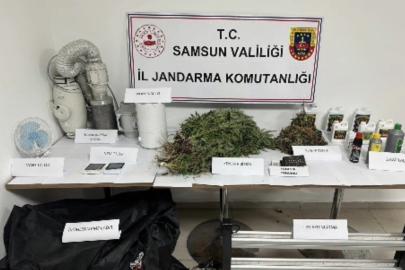 Jandarmadan evde kenevir operasyonu