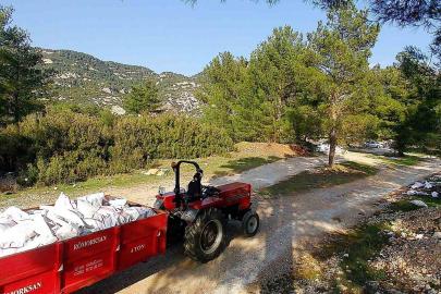 Kaçak döküm yapanlar fotokapandan kaçamadı
