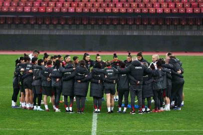 Kadın A Milli Takımı, İsviçre karşısında