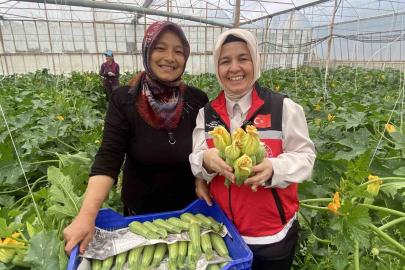 Kadın çiftçi hem üretiyor hem ihraç ediyor hem de pazarda satıyor