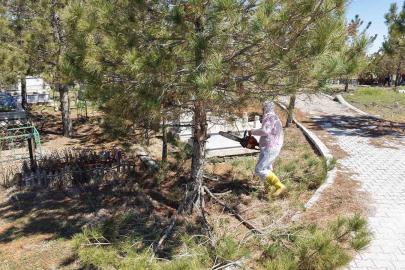 Kahramanmaraş’ta mezarlıklarda yenileme başladı