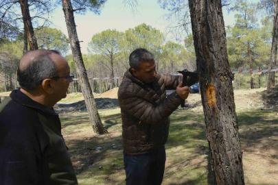 Kahramanmaraş’ta orman zararlılarına karşı mücadele sahada incelendi