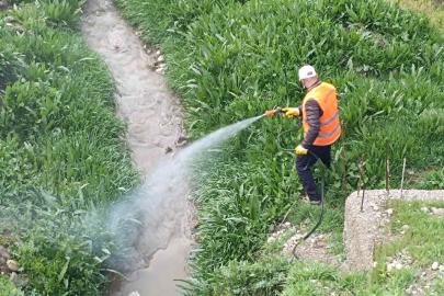 Kahta Belediyesi’nden haşerelere karşı yoğun mücadele