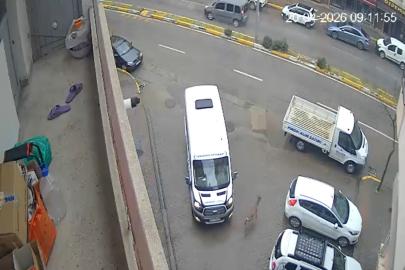 Karaca Giresun’un Görele ilçesinde şehir merkezine indi: iki araca çarptı, gözden kayboldu