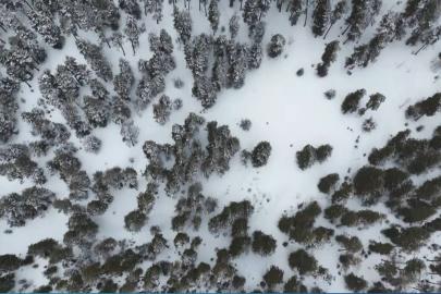 Kars’ta sarıçam ormanları beyaza büründü, tarım arazileri kar altında