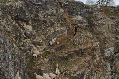 Kayalıklardaki sürüye cansiparane kurtarma