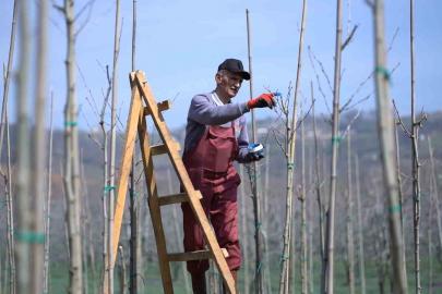 Kestel’de bahar mesaisi