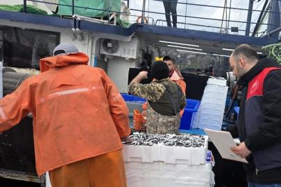 Kırklareli’nde hamsi avcılığına sıkı denetim: 15 milyon 270 bin 699 kilogram hamsi karaya çıkarıldı