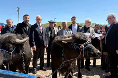 Kocaeli’deki manda yetiştiricilerine 3,4 milyon liralık destek