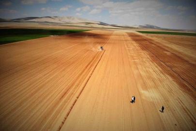 Konya Ovası’nda yağışlar rekolte beklentisini arttırdı