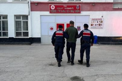 Köpeği av tüfeği ile vurarak öldüren şahıs tutuklandı