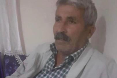 Kovalamaca sonucu yola çıkan inek, sahibini canından etti