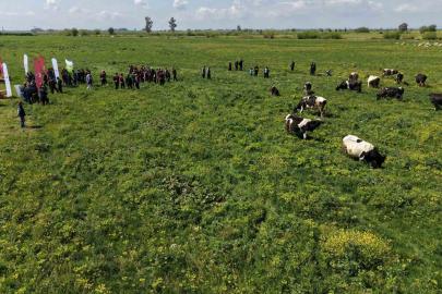 Kozan’da ıslah edilen mera alanı dualarla açıldı, sürüler alanda otlamaya başladı