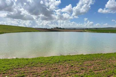 Kuraklıkla kuruma noktasına gelen gölet yağışlarla yeniden canlandı