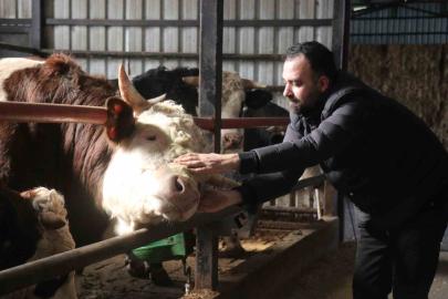 Kurbanlık alışverişinde erken alım hareketliliği