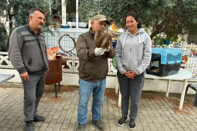 Kuşadası’nda yaralı şahin tedavisinin ardından doğaya bırakıldı