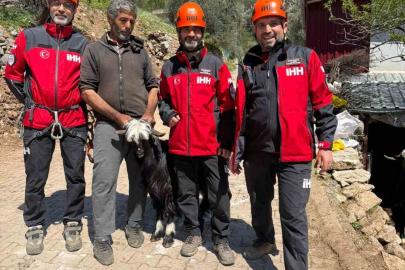 Mahsur kalan 2 keçi, 100 metrelik sarp araziden kurtarıldı