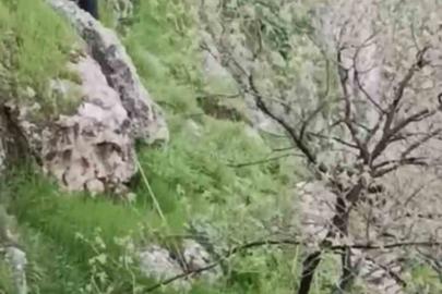 Mardin’de mahsur kalan keçileri itfaiye kurtardı