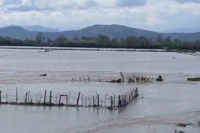 Meriç Nehri taştı, sular yollara ulaştı
