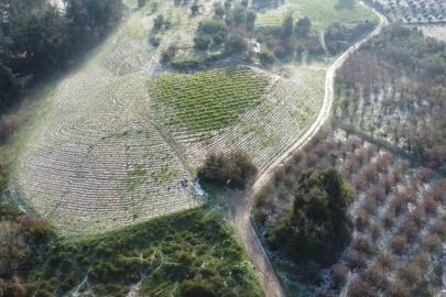 Mersin’de misket büyüklüğünde dolu etkili oldu: Orman ve bahçeler beyaza büründü