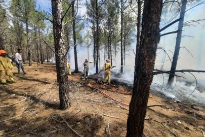 Mersin’de orman yangınlarına karşı tatbikat yapıldı