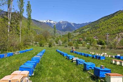 Mevsim normallerinin altında seyreden hava sıcaklığı arıcıları vurdu, uzmanlardan kritik uyarı