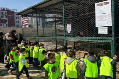 Minikler için doğada eğlence ve eğitim bir arada