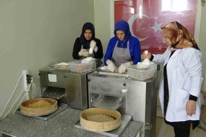 Misafirlerine yaptığı yuvalama hayatını değiştirdi