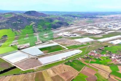 Modern tarımın yeni adresi Bafra: Karadeniz’de başarı hikayesi yazılıyor