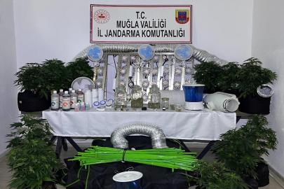 Muğla Jandarmasından zehir tacirlerine Mart ayı darbesi: 173 gözaltı