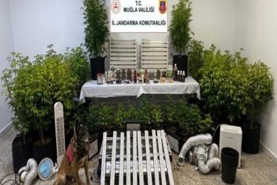 Muğla’da 15’inci yüzyıla ait Tevrat ele geçirildi