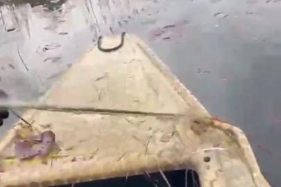 ‘Nilüfer Cenneti’nde kaçak avcılığa ‘dur’ denildi