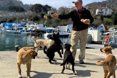 Olta tutkunu vatandaştan sokak köpeklerine şefkat