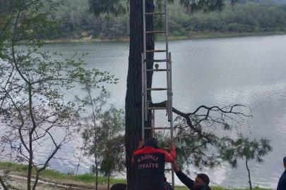 Osmaniye’de ağaca takılan kargayı itfaiye kurtardı
