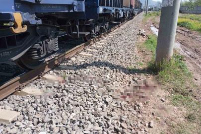 Osmaniye’de yük treninin çarptığı kişi yaralandı