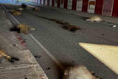 Otomobil sürüye daldı, 17 koyun telef oldu