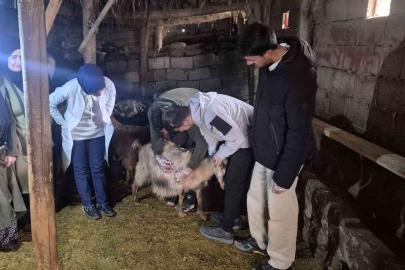 Özalp’te çiftçilere yönelik eğitim seferberliği başlatıldı