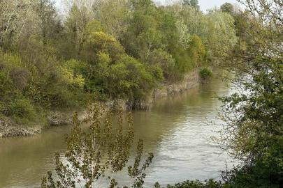Sakarya Nehri’ne düşen çocuk didik didik aranıyor