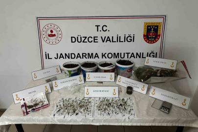 Saksıda kenevir yetiştiren şahıs gözaltına alındı