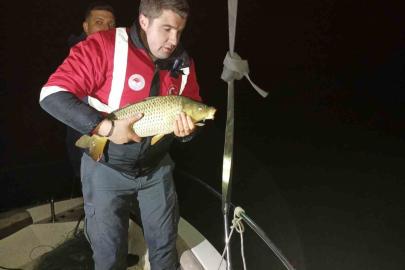 Samsun’da kaçak avcılığa geçit yok: 60 kiloluk sazan geri salındı