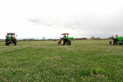 Samsun’da meralarda ıslah çalışmaları sürüyor