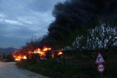Samsun’da meyve deposunda yangın: Ekipler müdahale ediyor